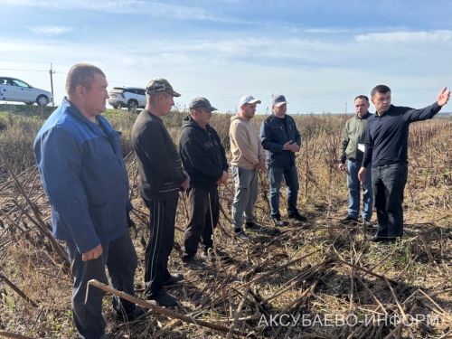 В Аксубаевском районе чествовали участников уборочной страды