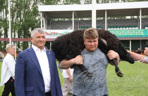 Аксубайда Сабан туе: якты һәм онытылмаслык Тулырак: https://aksubayevo.ru/news/sogy-yaalyklar/aksubaida-saban-tue-iakty-ham-onytylmaslyk