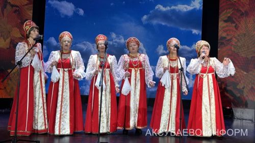 В Аксубаеве чествовали старшее поколение и волонтеров