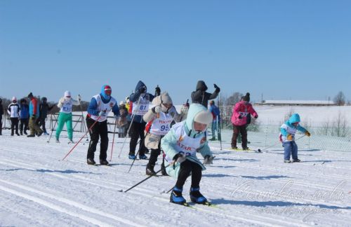 Лыжня Беловки, 9 марта 2026