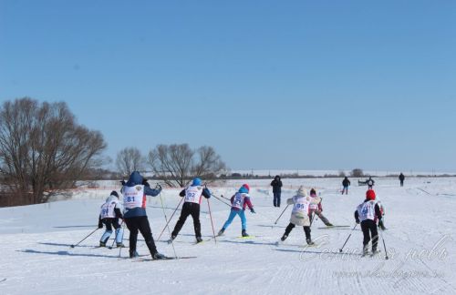 Лыжня Беловки, 9 марта 2026