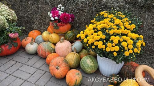 Осеннее золото Аксубаева: тыква с медом порадовали жителей 11.09.2026