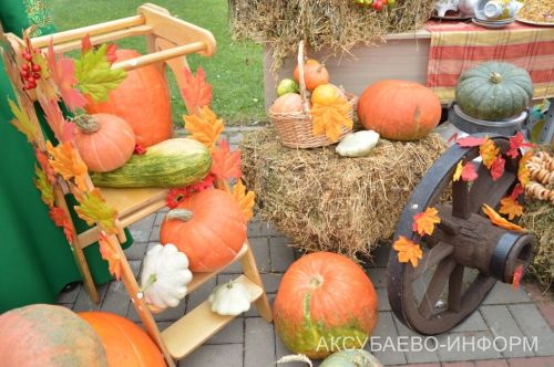 Осеннее золото Аксубаева: тыква с медом порадовали жителей 11.09.2026