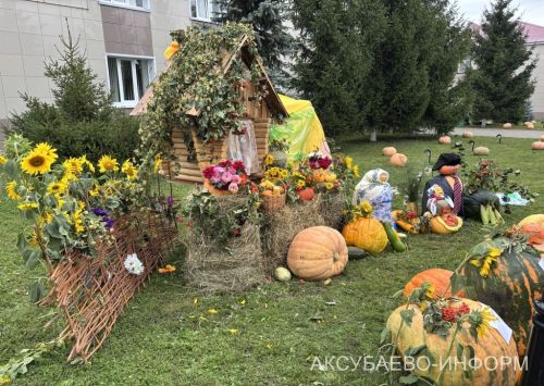 Осеннее золото Аксубаева: тыква с медом порадовали жителей 11.09.2026