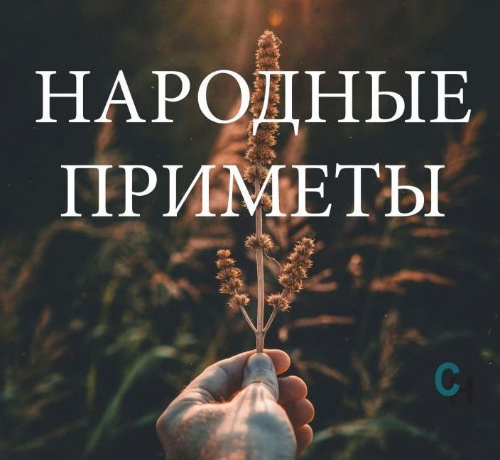 Народные приметы на 4 октября: Наведи порядок и в дом придет счастье