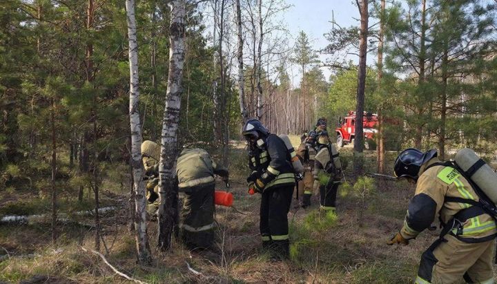Аксубаевцам напоминают о мерах пожарной безопасности в лесах