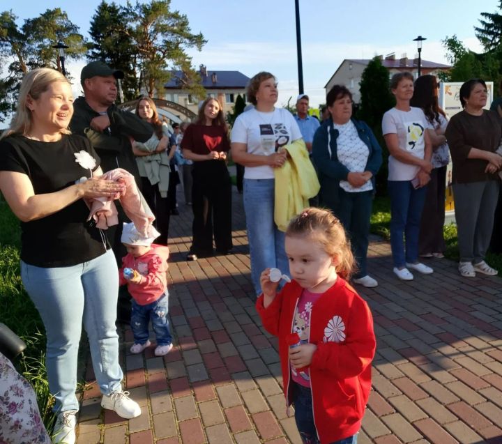 В Аксубаеве стартовал проект «Культурная среда»