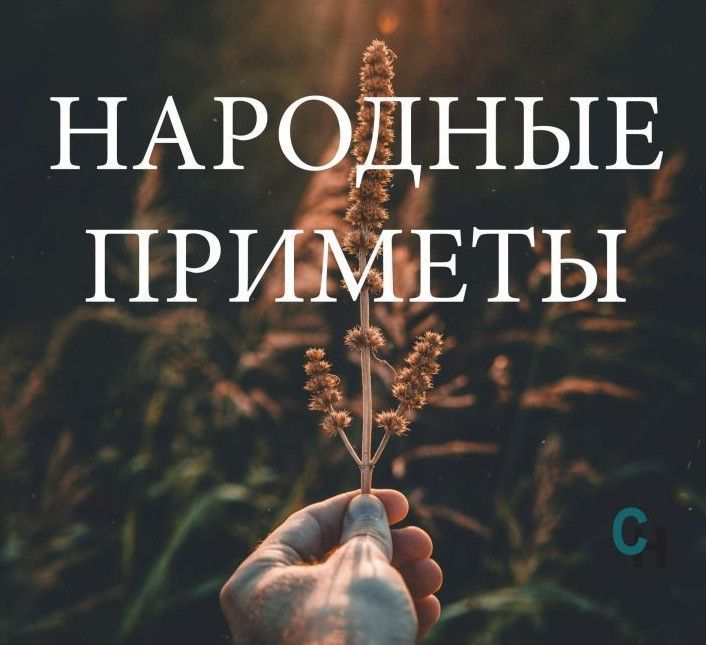 Народные приметы на 12 сентября: Съешь кашу на молоке - здоровье прибавится