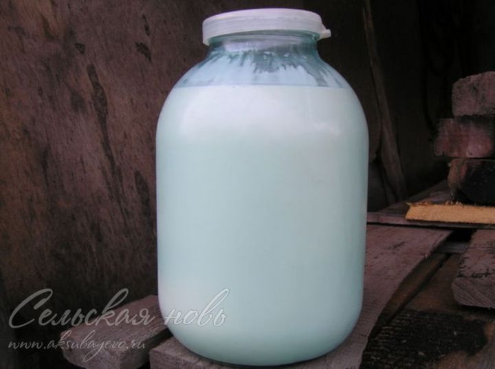 Молока в Аксубаеве больше – доход выше