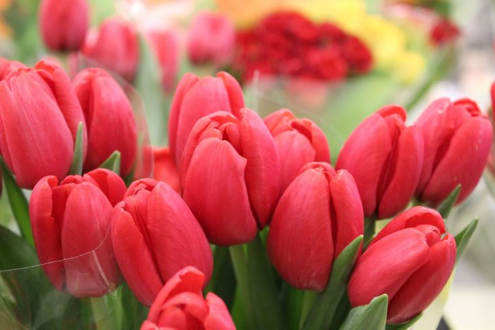 Роскачество раскрыло популярные уловки продавцов цветов в преддверии 8 Марта