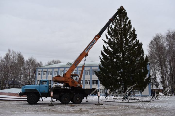 Аксубайда Яңа ел чыршысын бизиләр