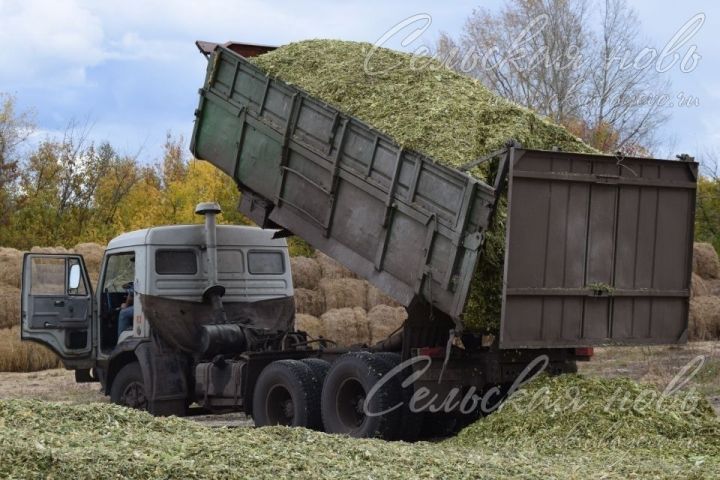 В Аксубаевском районе завершилась закладка силоса