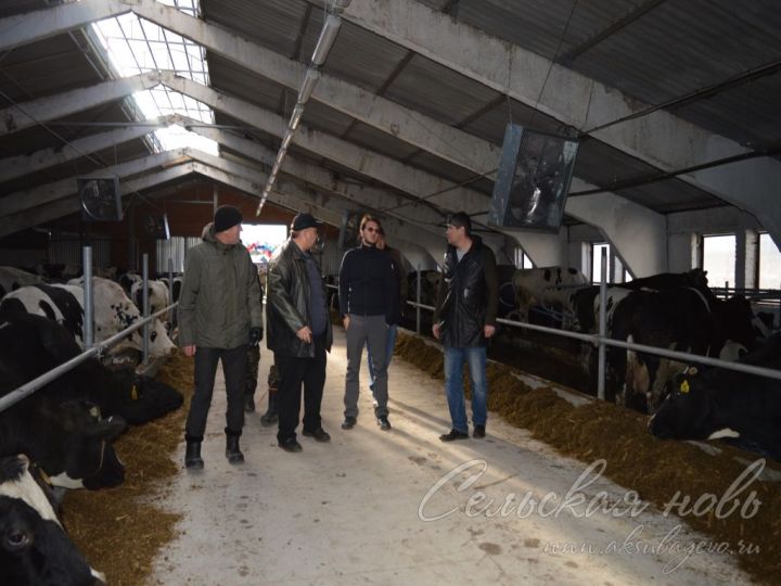В Аксубаевском районе открылся новый корпус молочно-товарной фермы