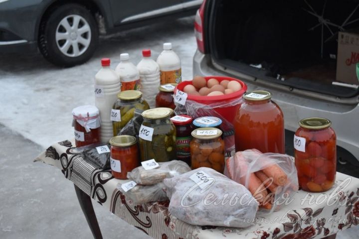 Предновогодняя сельхозярмарка в Аксубаеве: елки, овощи, мед