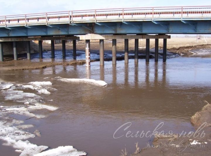 В Татарстане за сутки уровень воды в некоторых реках поднялся до 85 см