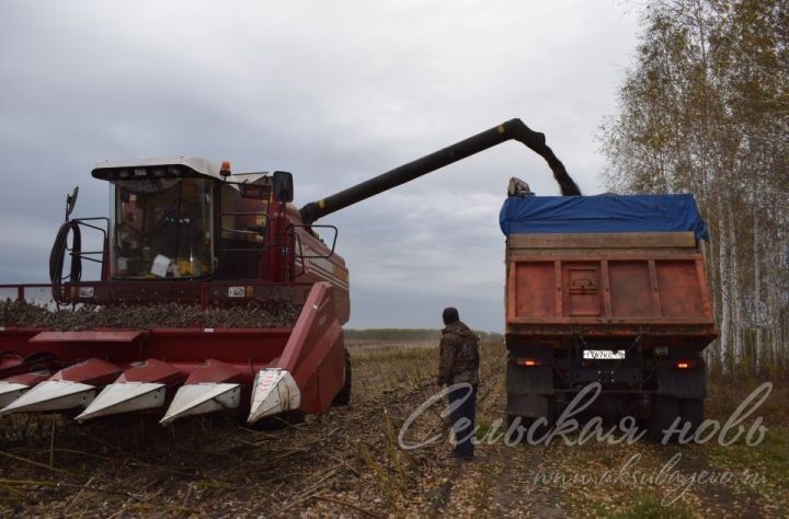 В Аксубаевском районе намолочено более 10600 тонн подсолнечника