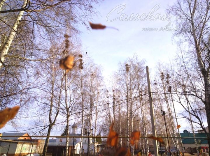 Нынешний День пожилых людей был самым теплым