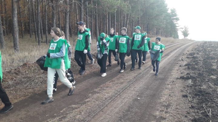 Школьники из Аксубаевского района поддержали акцию «Чистые леса Татарстана»