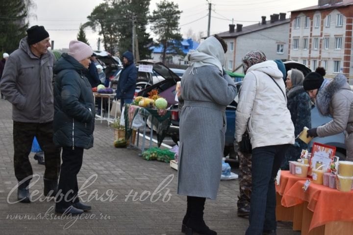 Аксубаевцы пополнили зимние запасы на сельхозярмарке