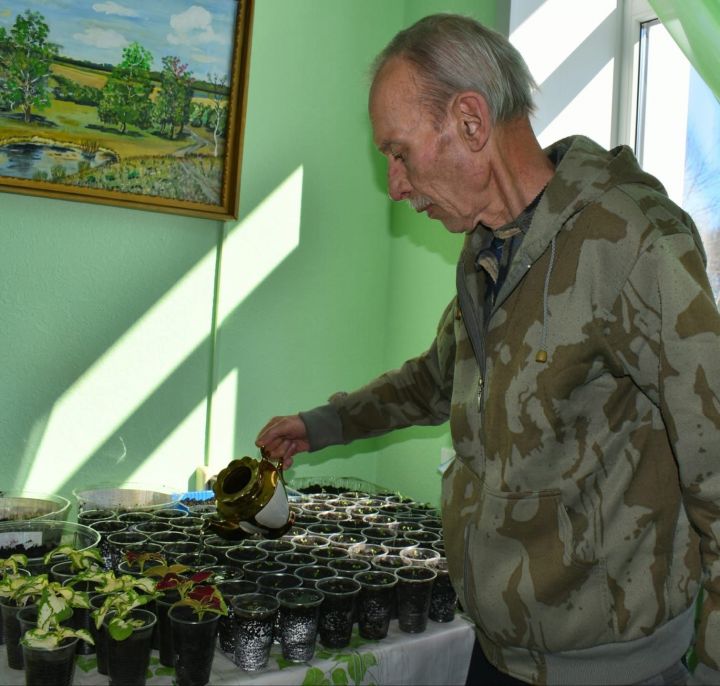 Аксубай ветераннары өчен үсентеләр үстерү – хезмәт терапиясе