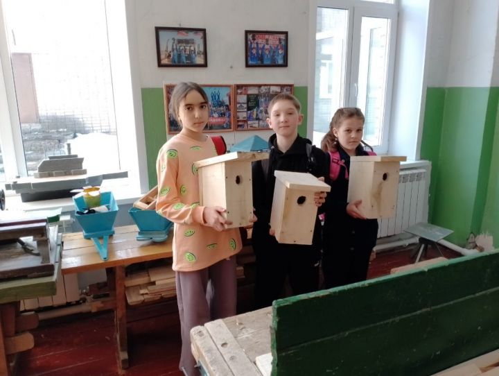Аксубаевские школьники помогают птицам «обрести жилье»