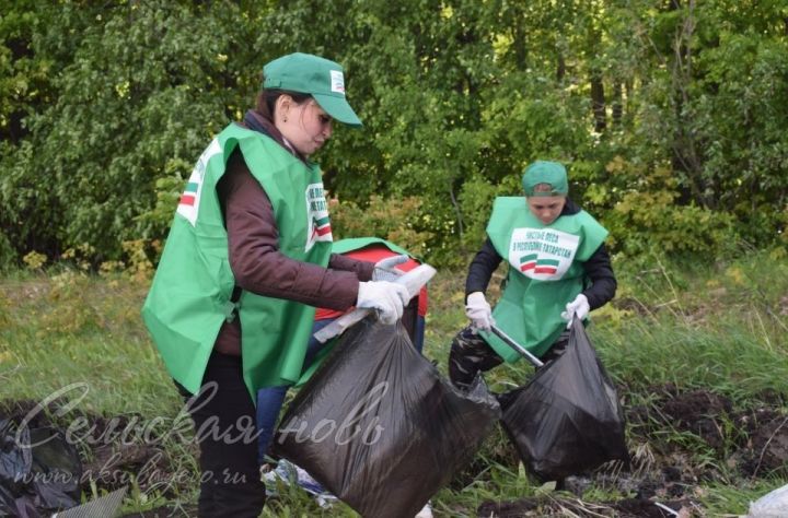Аксубаевцев приглашают к участию в акции «Чистые леса Татарстана»