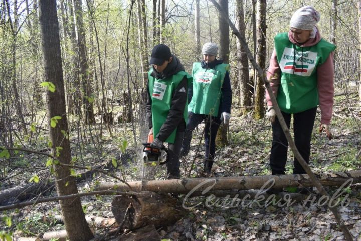 Аксубайлылар урманнарны чистарту акциясен хупладылар