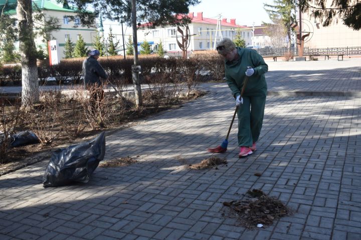 Экологический двухмесячник в Аксубаеве: исполком пгт выделяет тележку для вывоза мусора бесплатно