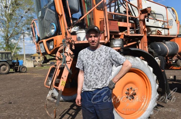 В Аксубаевском районе сев завершают и за посевами ухаживают