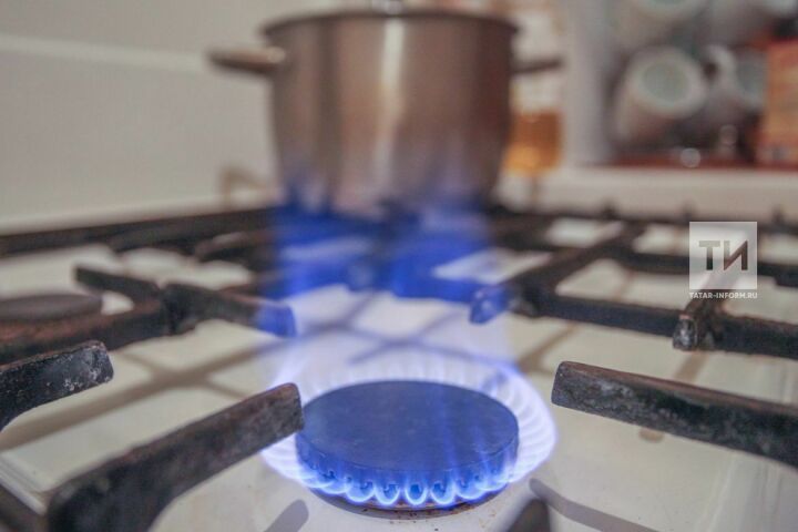 В Татарстане в этом году зафиксировано 25 случаев отравления угарным газом.