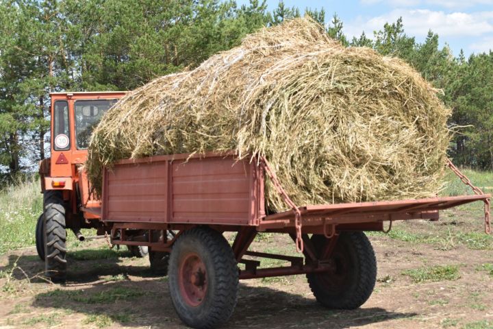 Аксубаевские растениеводы сушат сено, складывают в ометы