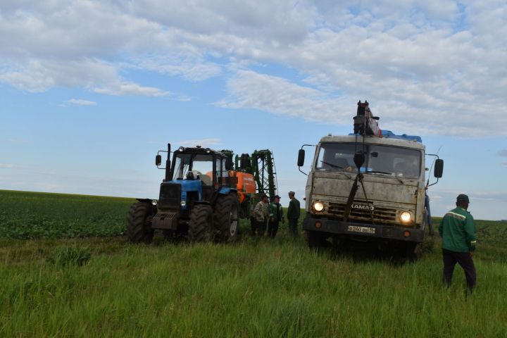 Аксубаевские земледельцы подкармливают, защищают сельхозкультуры от вредителей, болезней