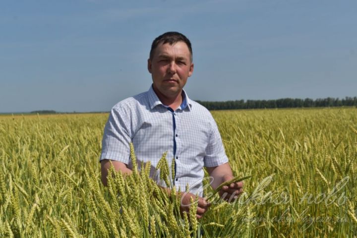 Одним из крепких и перспективных фермеров в районе по праву является Алексей Кондратьев