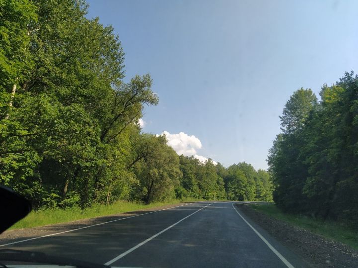 Прогноз погоды на 1 августа