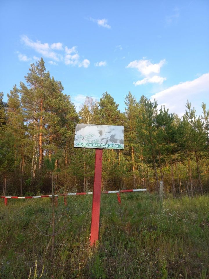 На территории Аксубаевского района въезд в леса запрещен!