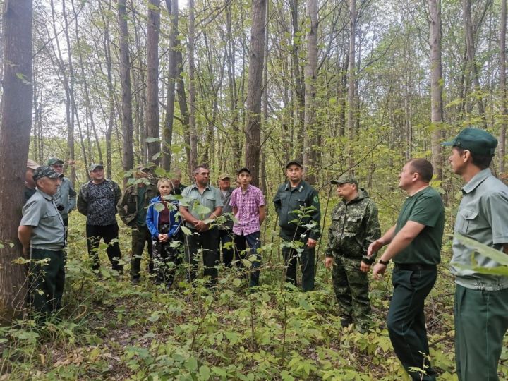 Аксубаевские лесоводы знакомились с опытом коллег