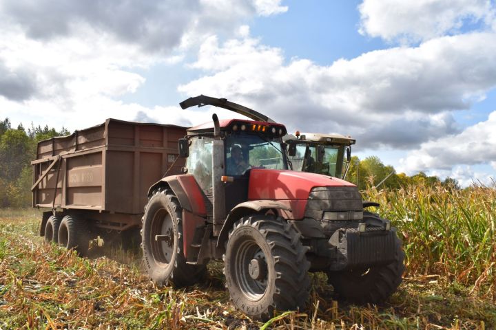 Растениеводы ООО «Аксу Агро» завершили уборку кукурузы