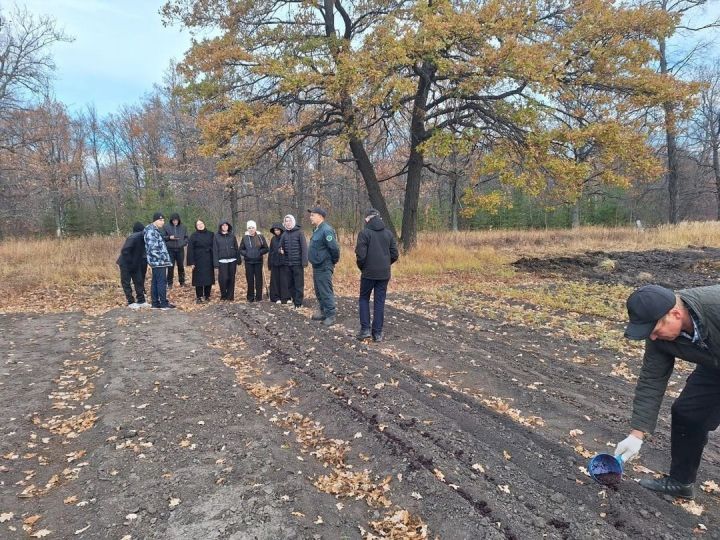 Школьники высадили в питомнике лесничества ель и рябину