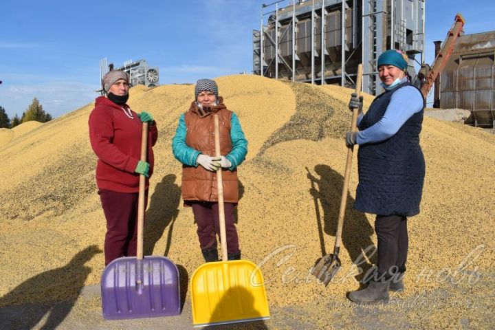 В «Аксу Агро» заработал новый сушильный комплекс