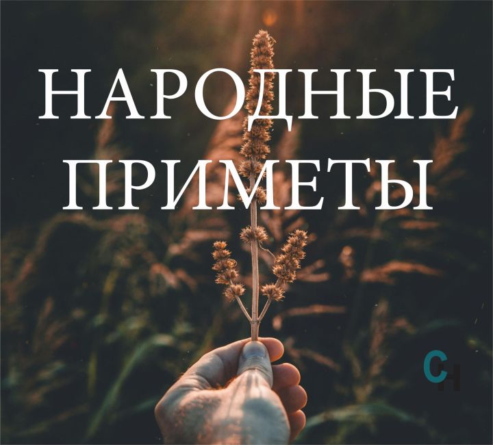 Народные приметы на 6 декабря 2024 года: что нельзя делать в этот день