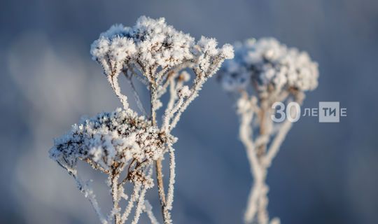 Прогноз погоды на 20 марта