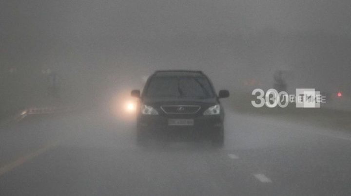 Синоптики Татарстана предупреждают о тумане, гололеде и сильном ветре