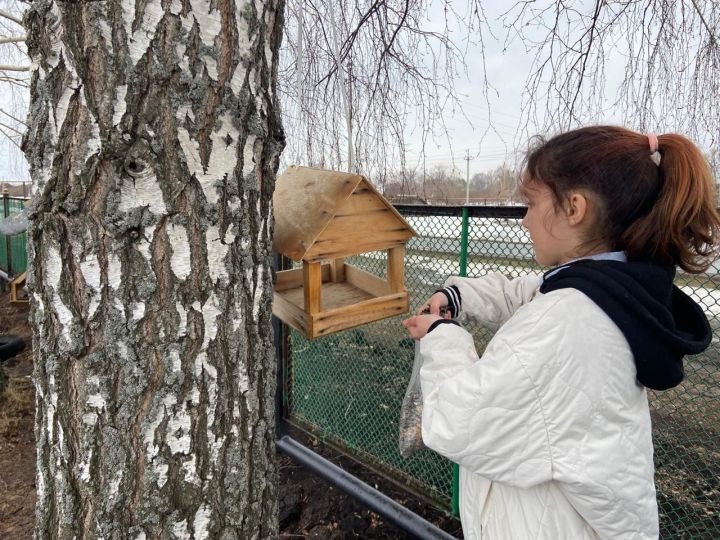Воспитанники Кривоозерской школы заботятся о птицах до первых насекомых