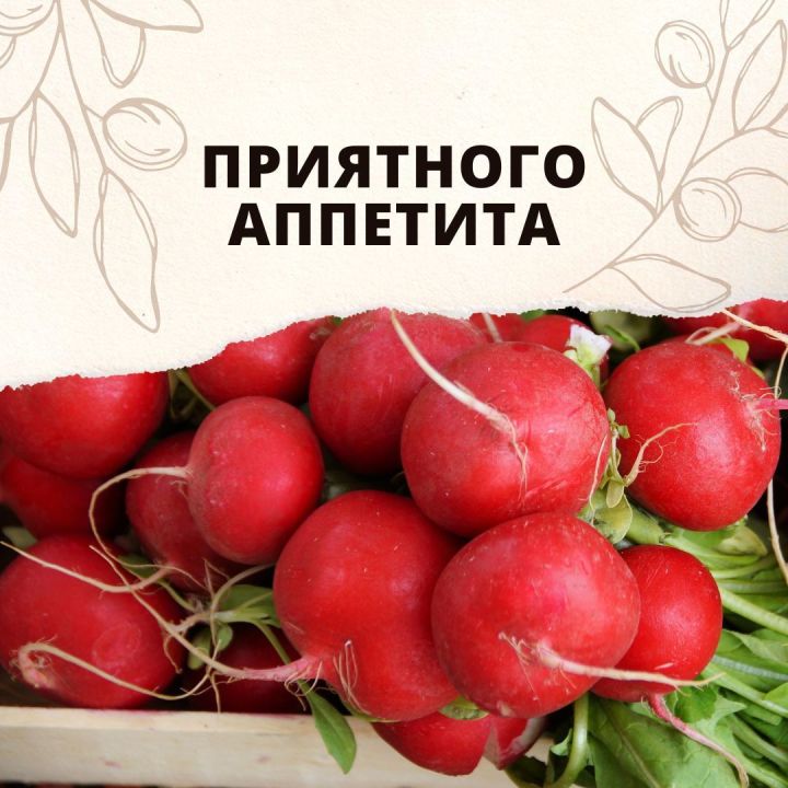 Салат с редисом: рецепт легкого и сытного весеннего блюда