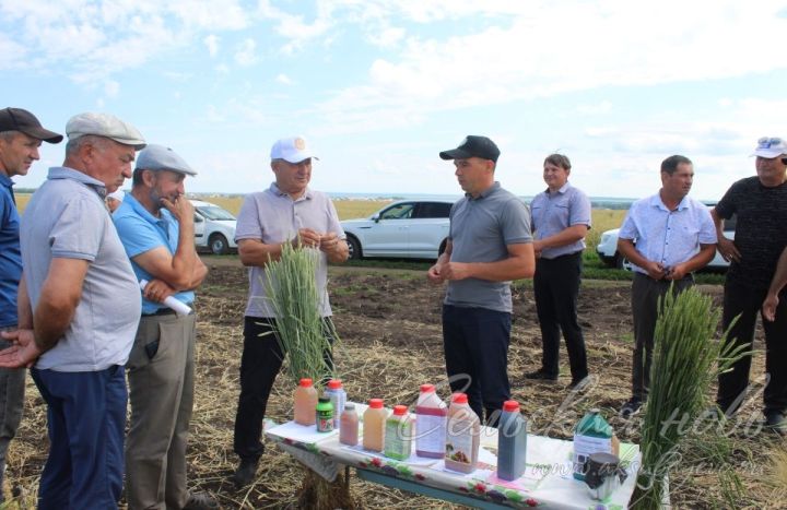 В Аксубаевском районе решали, как лучше провести уборочный сезон