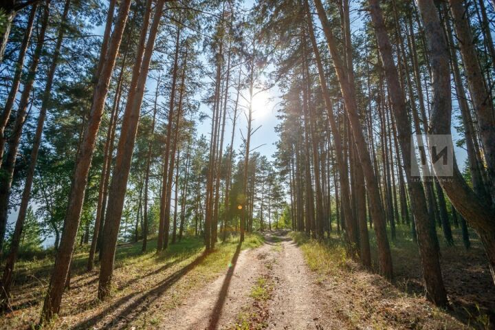 Прогноз погоды в Аксубаево на 3 июля