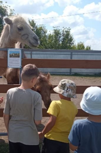 «Хыял» социаль приютында тәрбияләнүчеләр Биләрдә эко-фермада һәм Изге чишмәдә булдылар