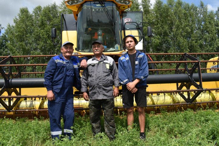 На аксубаевских полях урожай убирают потомственные хлеборобы