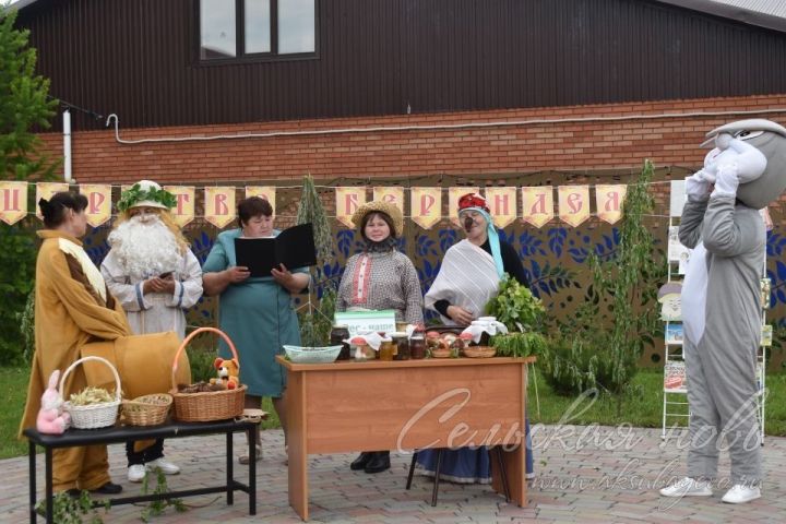 В Аксубаеве состоится традиционный Экологический фестиваль