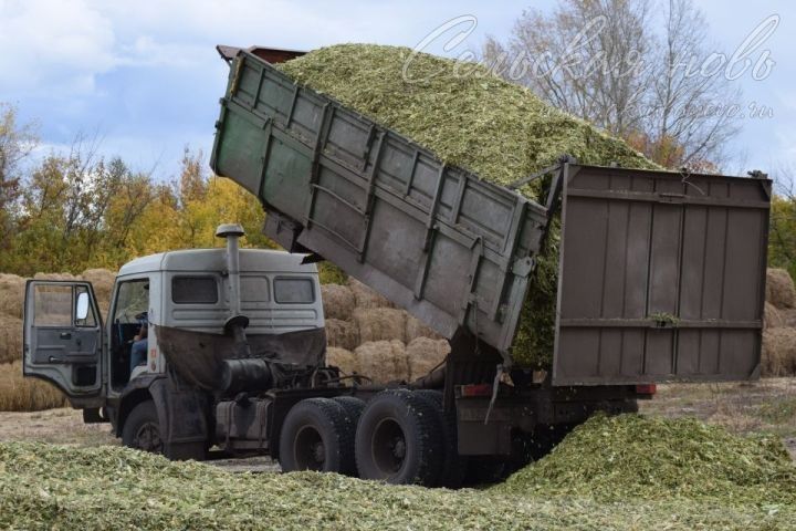 Аксубаевские растениеводы заложили более 9200 тонн силоса